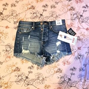 Celebrity Pink Hi-Rise The Brat cut-off shorts